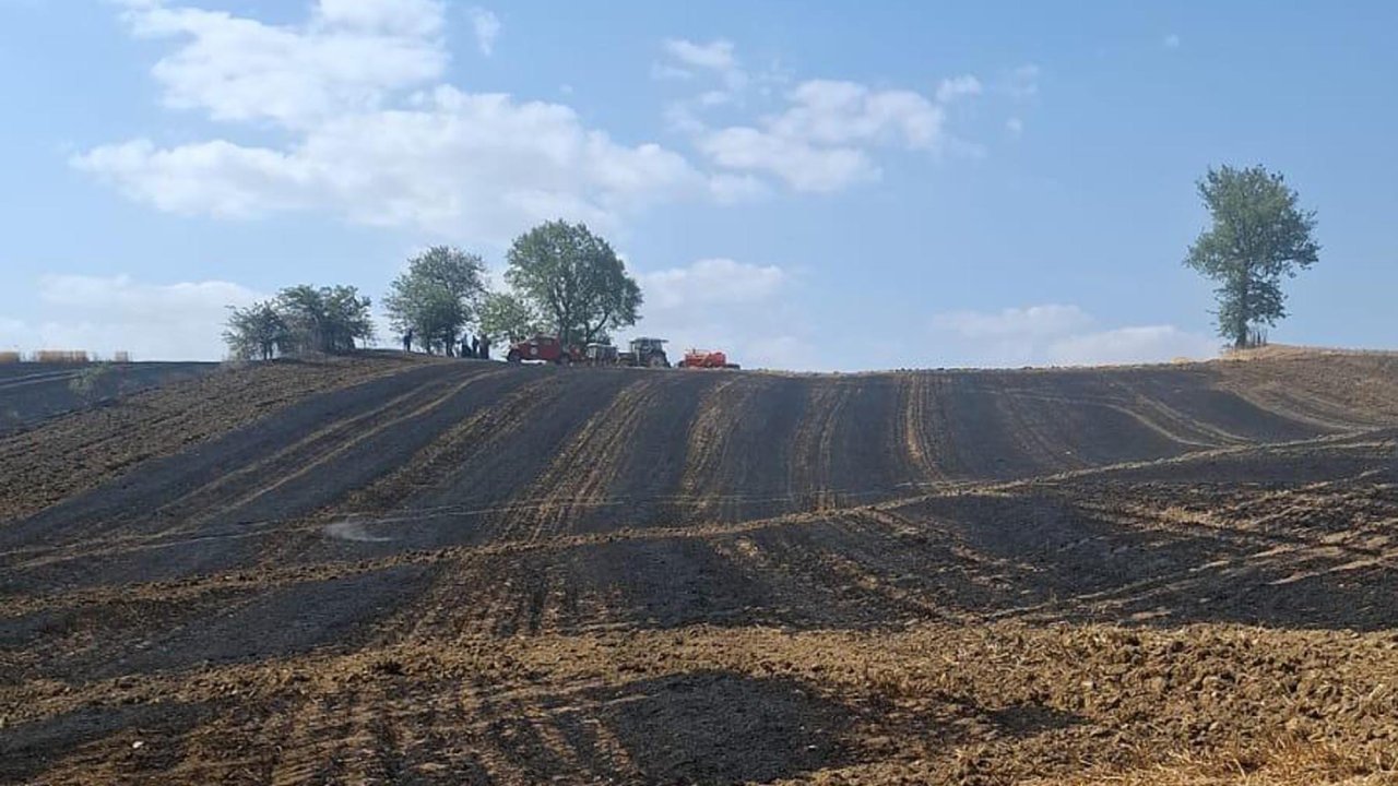 Malkara'da 50 dönüm buğday tarlası yandı