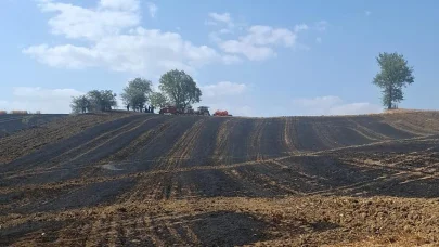 Malkara'da 50 dönüm buğday tarlası yandı