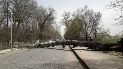 Marmara Bölgesi için 'kuvvetli rüzgar' uyarısı