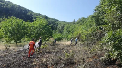 Pamukova'da arazi yangını korkuya neden oldu