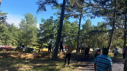 Pamukova'da orman yangını