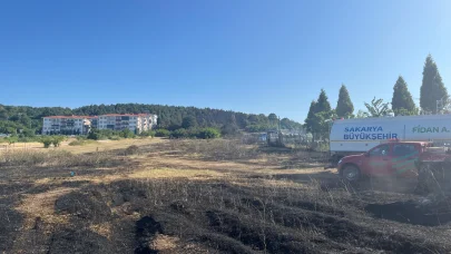 Sakarya Orman İşletme Müdürlüğü'nün deposunda yangın; ormana da sıçradı