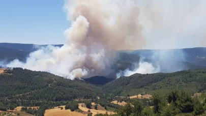 Sakarya’da orman yangını; 2 mahallede tahliye