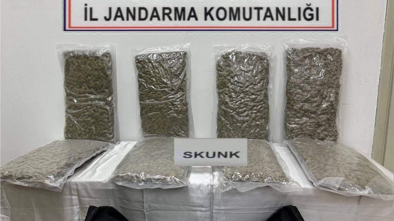Tekirdağ'da 22 kilo skunk ele geçirildi