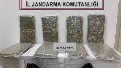 Tekirdağ'da 22 kilo skunk ele geçirildi