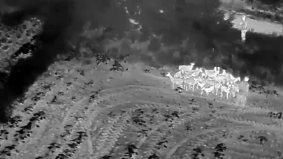 Tekirdağ'da kaybolan hayvanları jandarma dronla buldu