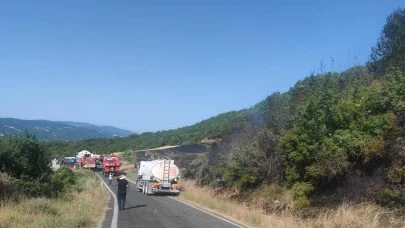 Tekirdağ'da orman yangını