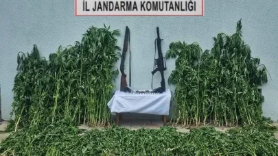 Tekirdağ'da uyuşturucu operasyonunda 3 gözaltı