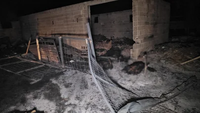 Ahırda çıkan yangın, 2 ev ve depoya sıçradı; 80 küçükbaş öldü
