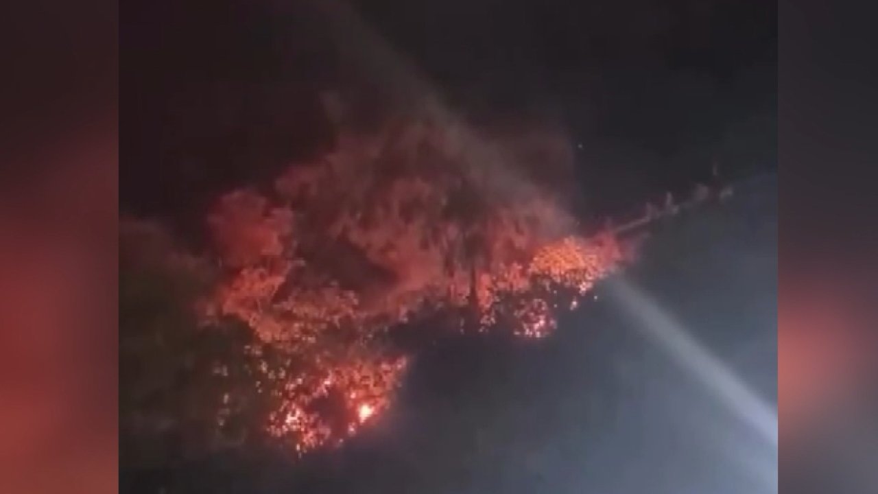 Attıkları havai fişek yangın çıkardı; 4 gözaltı