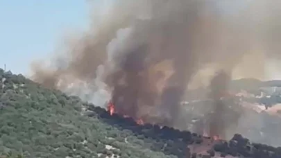 Balıkesir'de orman yangını