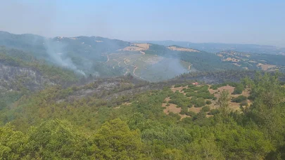 Balıkesir'deki orman yangını 2'inci gününde