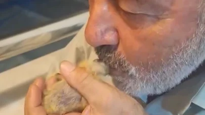 Balkonda bulduğu yavru güvercini özenle besliyor