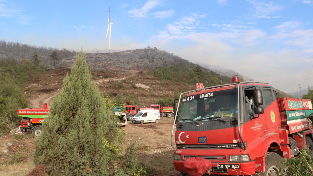 Bilecik’te orman yangını