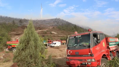Bilecik’te orman yangını