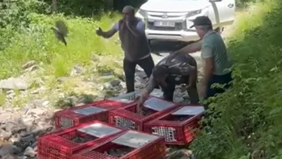 Bursa’da 1400 keklik doğayla buluştu