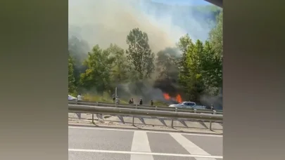 Bursa'da ağaçlık alanda çıkan yangın söndürüldü