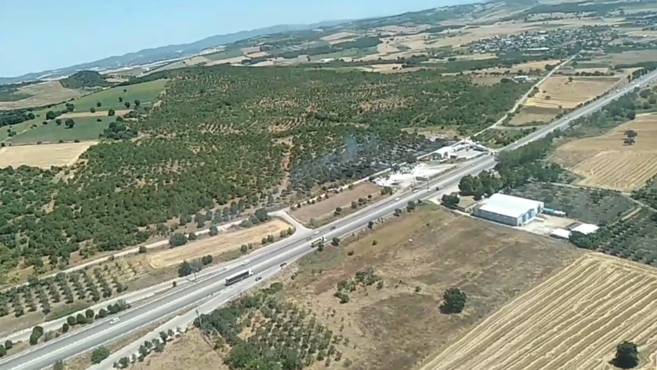 Bursa'da ağaçlık alanda yangın