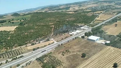 Bursa'da ağaçlık alanda yangın