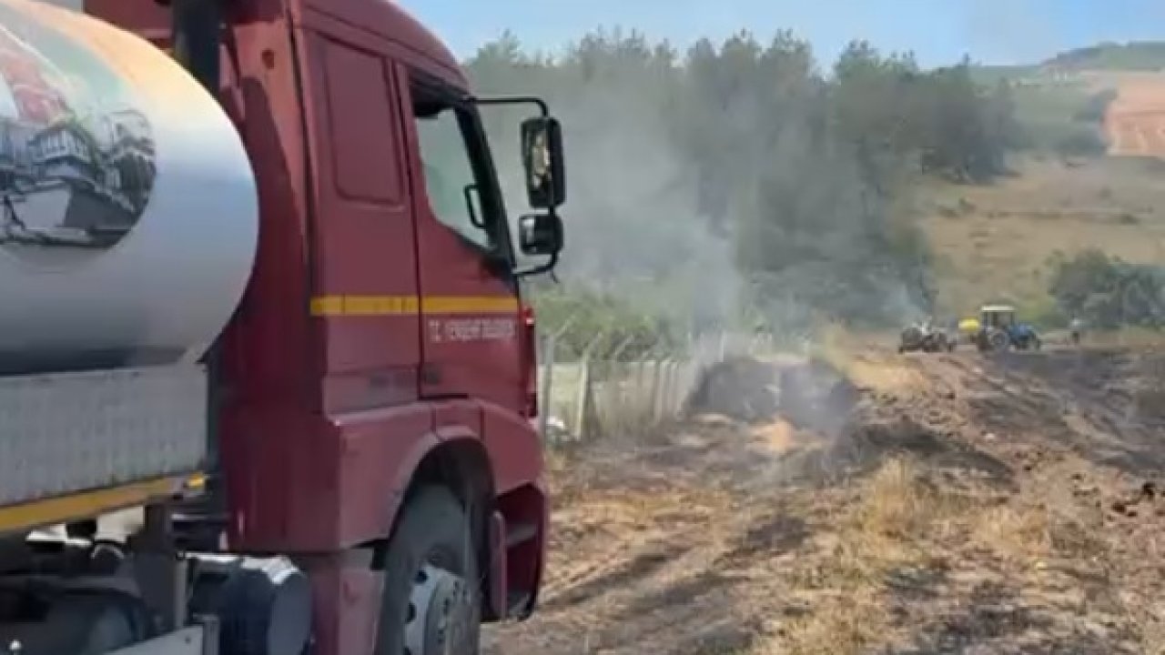 Bursa’da anız yangını ormana sıçradı