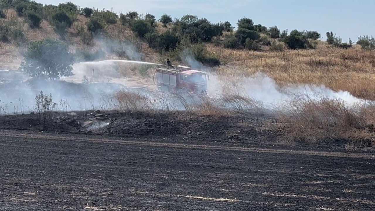 Bursa’da buğday tarlasında çıkan yangın, ağaçlık alana sıçradı