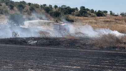 Bursa’da buğday tarlasında çıkan yangın, ağaçlık alana sıçradı
