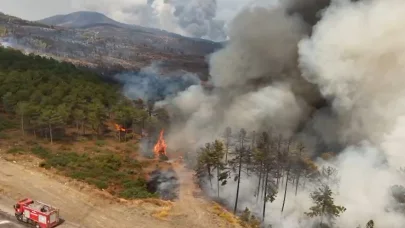 Bursa'da orman yangınları 3'üncü gününde