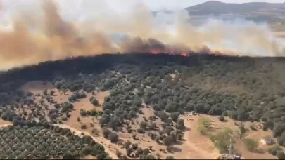 Bursa'da sazlık yangını