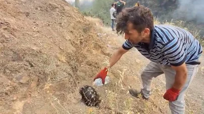 Bursa’daki yangın bölgesi dronla görüntülendi