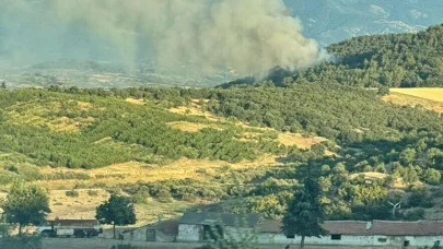 Çanakkale’de orman yangını; Kaz dağlarında kapanan köy yolları ulaşıma açıldı
