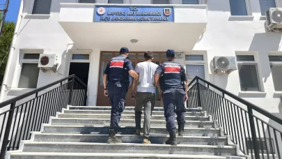 Çanakkale'de orman yangını