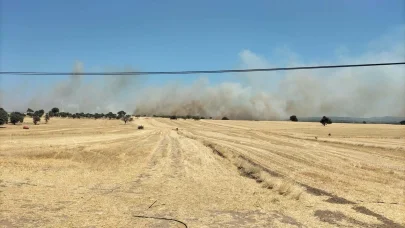 Çanakkale'de tarım arazisinde yangın
