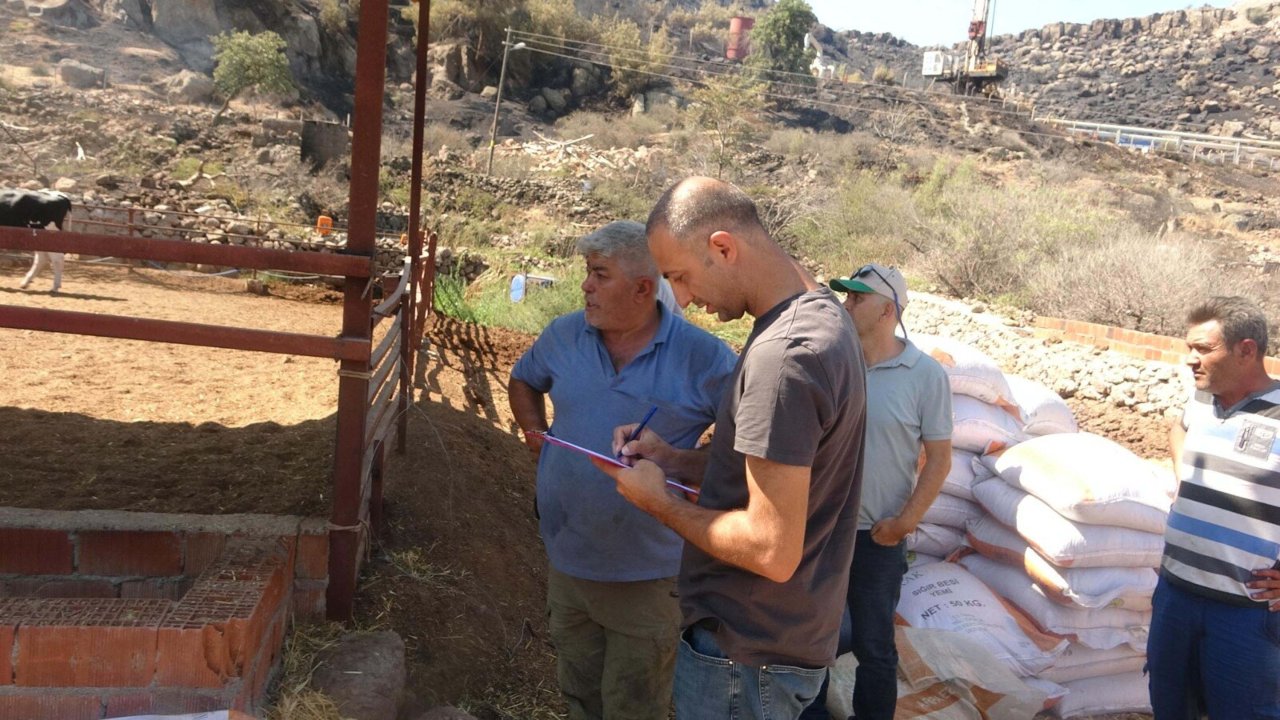 Çanakkale'deki orman yangını 21 saat sonra kontrol altında; yanan alanlar dronla görüntülendi