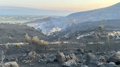 Çanakkale’deki orman yangını 2'nci günde; yanan alanlar dronla görüntülendi