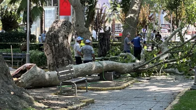 Çınar ağacının kırılan dalı üzerlerine düştü: 1 ölü, 2 yaralı
