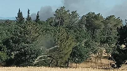 Edirne'de çıkan orman yangını söndürüldü