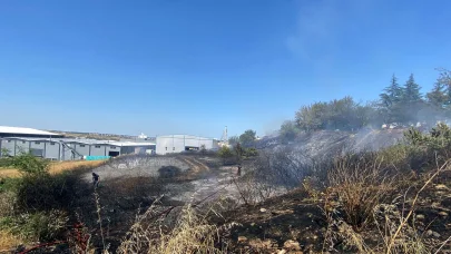 Fabrikalar bölgesinde çıkan otluk yangını söndürüldü
