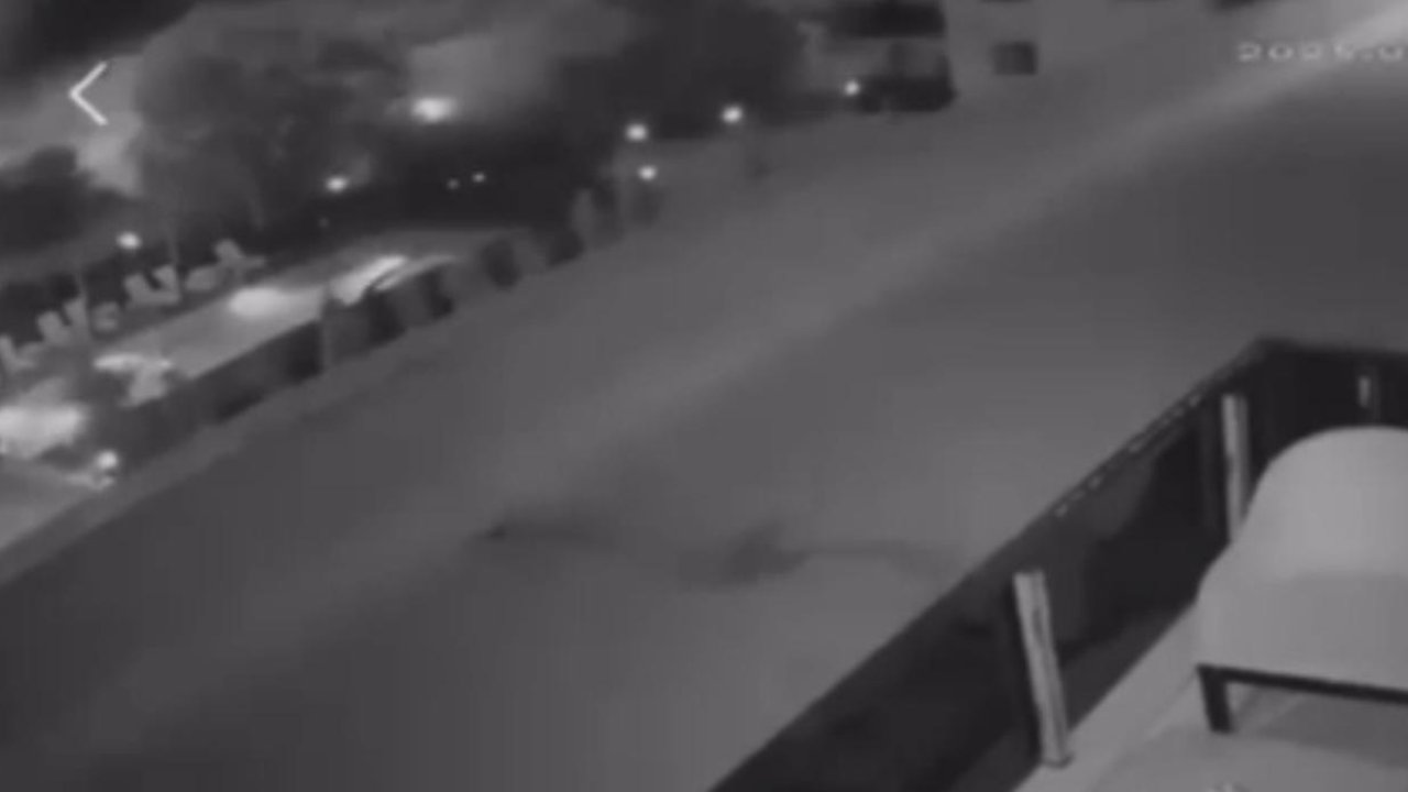 Havai fişek atıp yangın çıkaran 2 kişi, 100’er adet ağaç dikecek