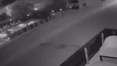 Havai fişek atıp yangın çıkaran 2 kişi, 100’er adet ağaç dikecek