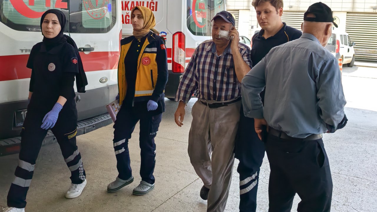 Kendisini hortumla ıslatmayı reddeden bahçıvanı darbetti