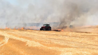 Kırklareli'de iki ayrı yangında ağaçlık alan ve tarım arazisi zarar gördü