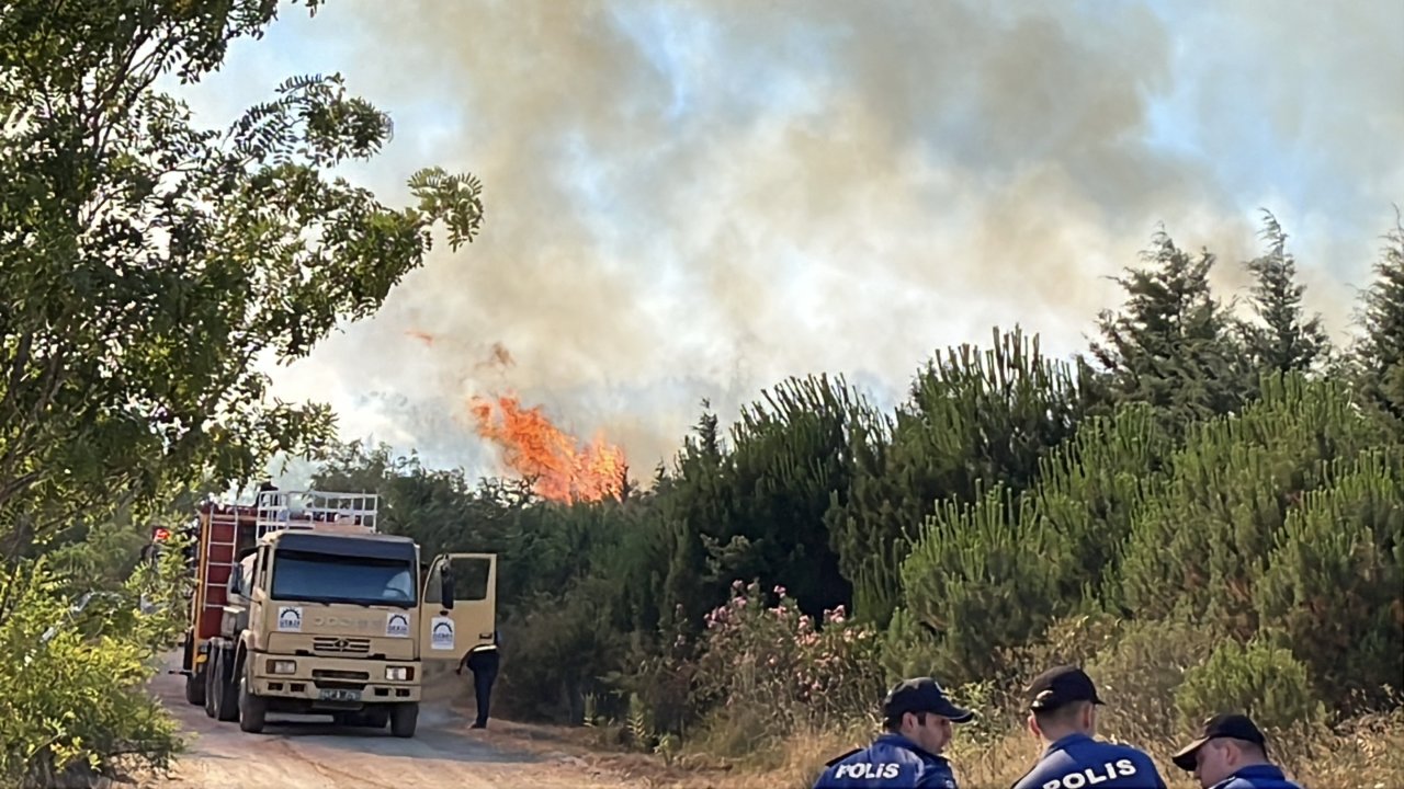 Kocaeli’de ağaçlık alanda yangın