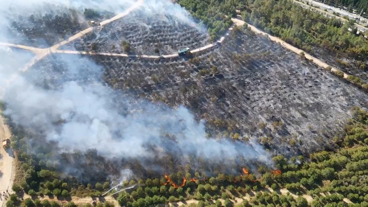 Kocaeli’de ağaçlık bölgede yangın