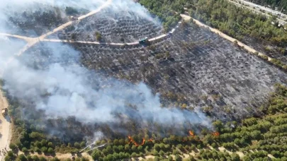 Kocaeli’de ağaçlık bölgede yangın
