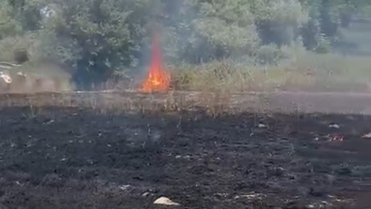 Kocaeli'de ot yangını söndürüldü