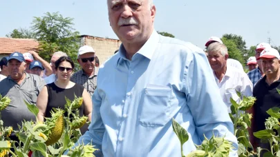 'Kuraklığın stresini ayçiçeği yüklenmiş durumda'