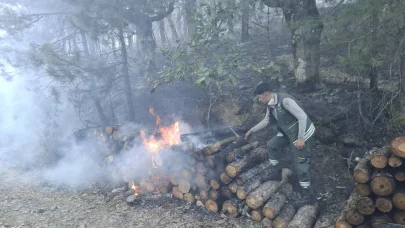 Motorlu testerenin egzozundan sıçrayan kıvılcım ormanı yakmış: 1 tutuklama