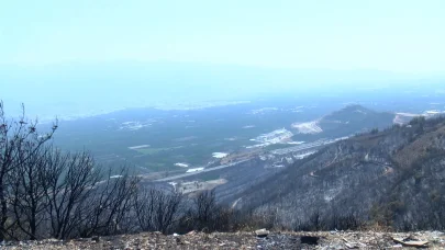 Orman yangınları sonrası solunum şikayetiyle hastanelere başvuruda yüzde 30 artış oldu