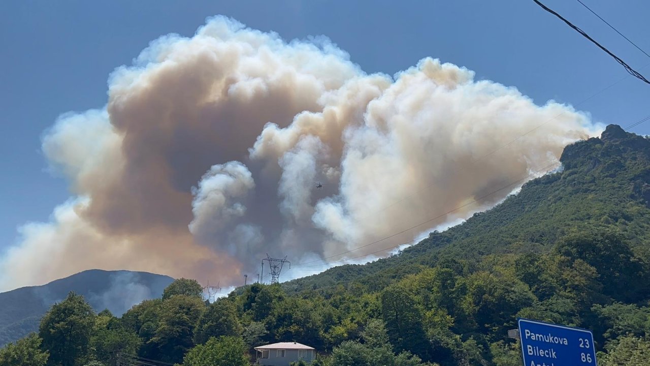 Sakarya Geyve'de yeni orman yangını