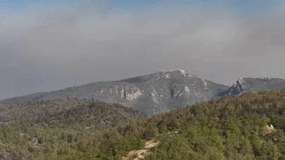 Sakarya Geyve’deki orman yangını 4’üncü günde kısmen kontrol altında